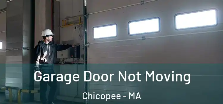  Garage Door Not Moving Chicopee - MA