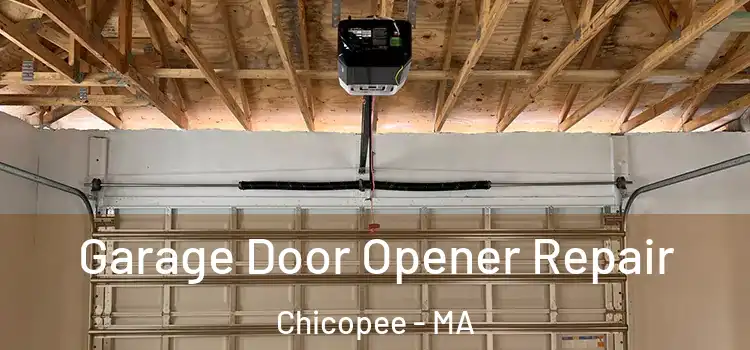  Garage Door Opener Repair Chicopee - MA