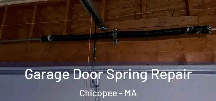  Garage Door Spring Repair Chicopee - MA