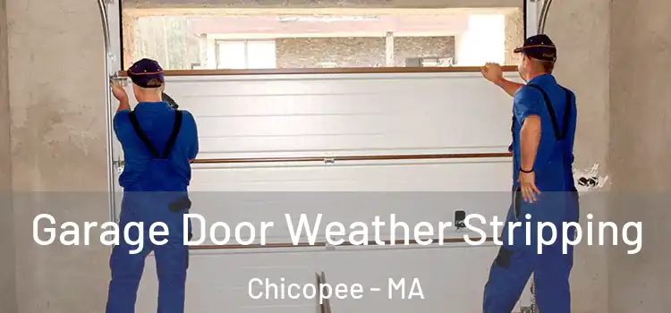  Garage Door Weather Stripping Chicopee - MA