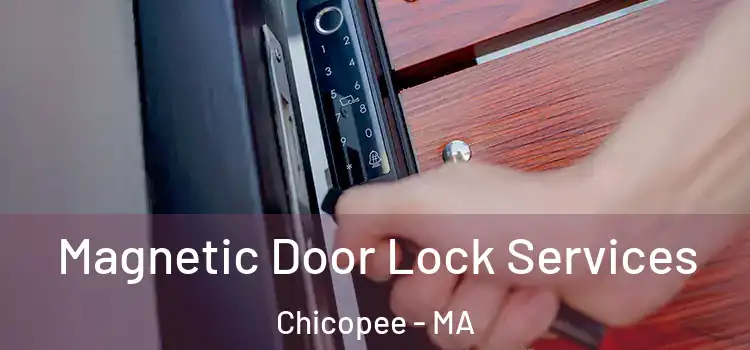 Magnetic Door Lock Services Chicopee - MA