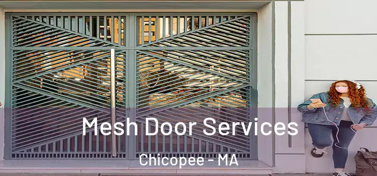 Mesh Door Services Chicopee - MA