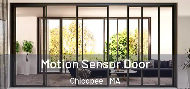 Motion Sensor Door Chicopee - MA