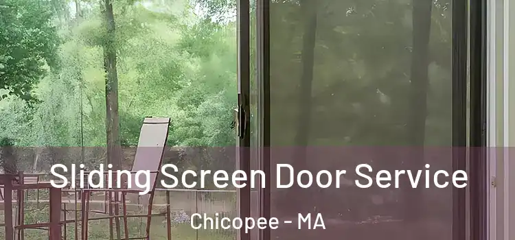 Sliding Screen Door Service Chicopee - MA