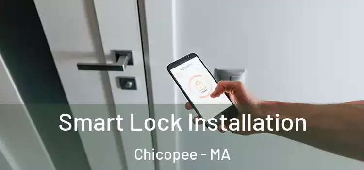 Smart Lock Installation Chicopee - MA